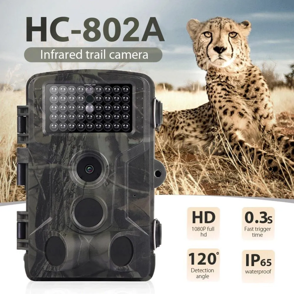 24MP 2.7K Outdoor Track Camera | Infrastructure Monitoring | Hound Tracking