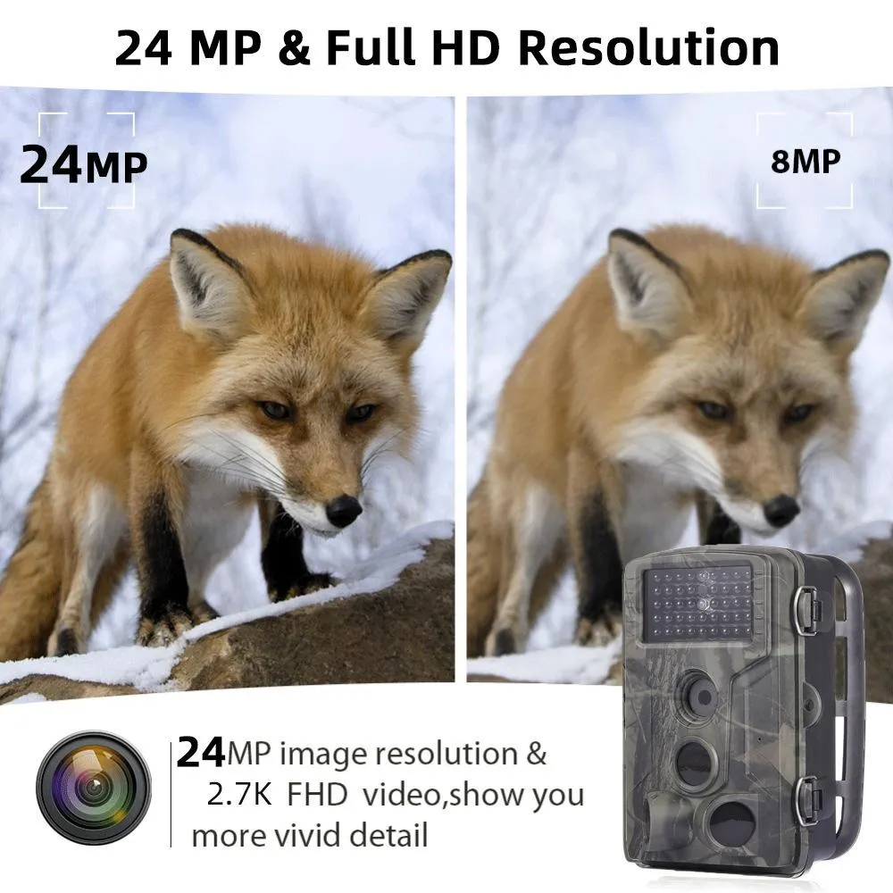 24MP 2.7K Outdoor Track Camera | Infrastructure Monitoring | Hound Tracking