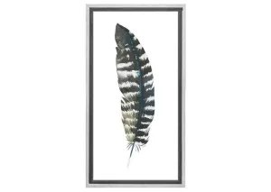 Black Grey Feather | Watercolour Print | Wall Art Decor