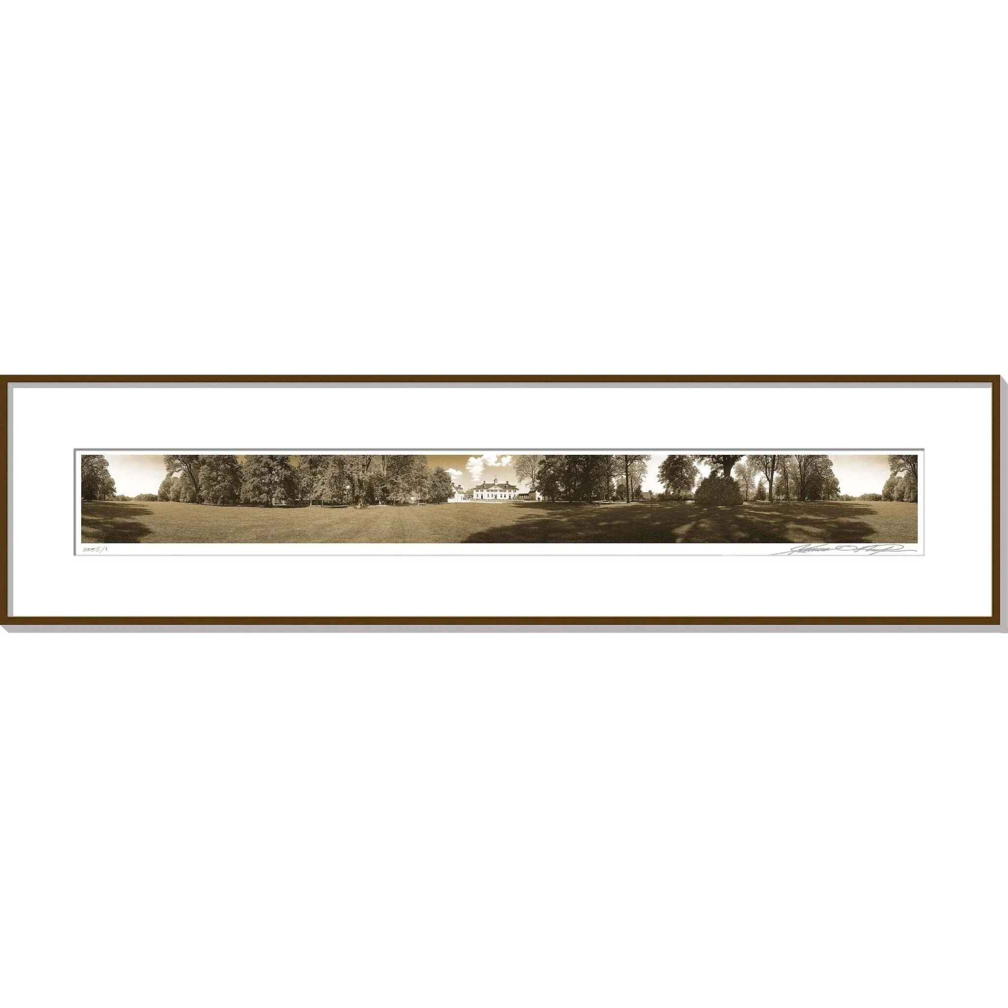 Mount Vernon & the Bowling Green Panoramic Photo