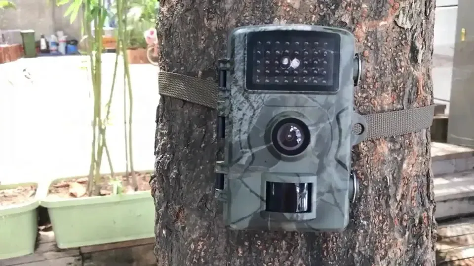 New 24MP DH1 Wildlife Trail Camera Night Vision Animal Trap Camera 1080P IR Trail Hunting Camera With IP66 Waterproof