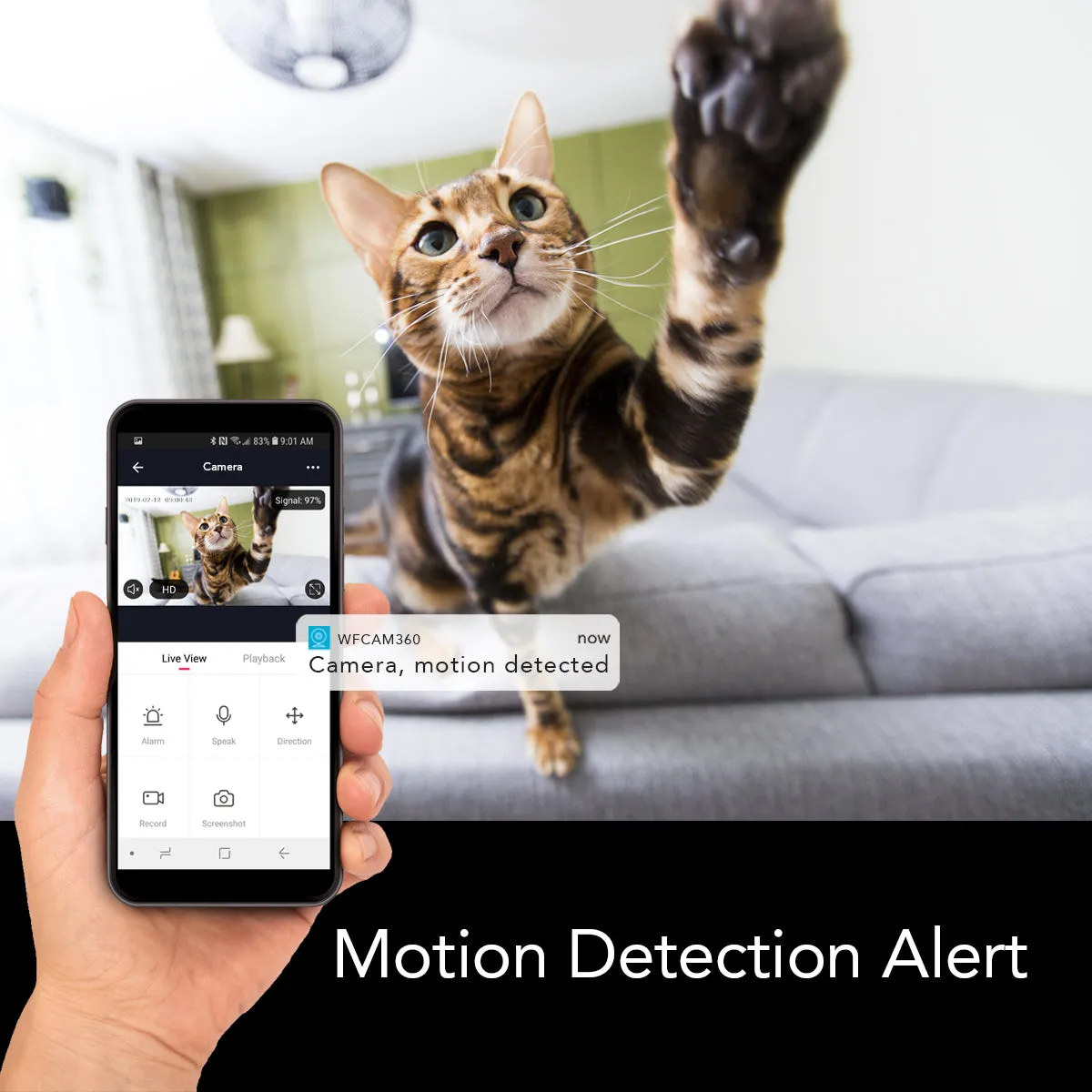 Smart WiFi Indoor/Outdoor Camera Kit